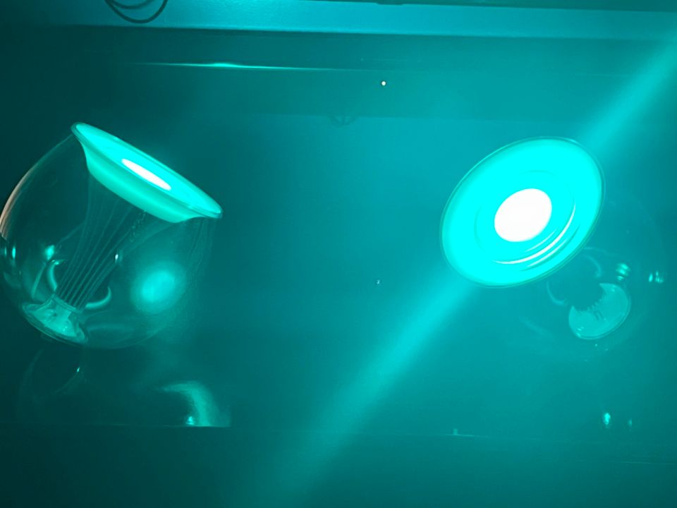 2 Philips Living Colors LED-Lampen, Gen 2 in Kiel