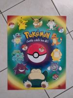 Pokemon Poster laminiert Hessen - Bad Sooden-Allendorf Vorschau