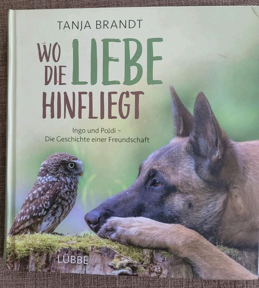 Wäschewanne voller Kinderbücher in Waldsassen