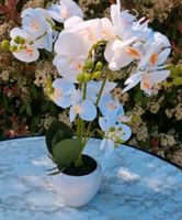 Pflanzenzauber Orchideen-Arrangement weiß NEU Nordrhein-Westfalen - Hagen Vorschau