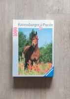 Puzzle Pferd 1000 Teile Ravensburger Baden-Württemberg - Ulm Vorschau