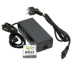 Phylion E-Bike Akku 48V 10,5Ah 504Wh Joycube SF-06 FISCHER Unterrohr  Ersatzakku