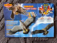 DeAgostini Falcons & Co 10 Raubadler Figur Gummitier Hannover - Südstadt-Bult Vorschau