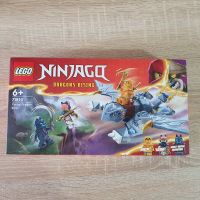 Lego Ninjago Drache Riyu Set 71810 Neu und ungeöffnet. Niedersachsen - Fredenbeck Vorschau