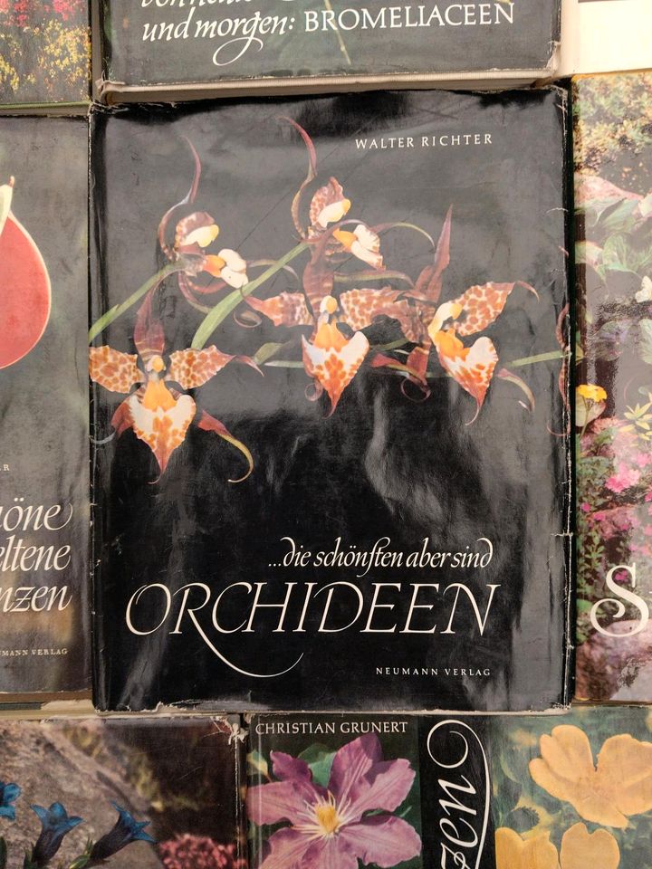 Konvolut Botanik Bücher Zimmerpflanzen Gräser Orchideen in Dresden