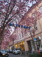 Begleitung Großvater Bonn - Bonn-Zentrum Vorschau