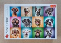 Puzzle 1000 Teile - Funny dog portraits Wurster Nordseeküste - Spieka Vorschau