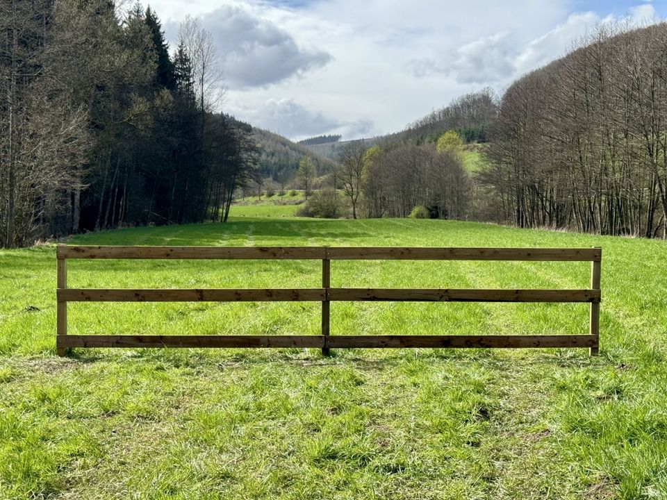 Pferdezaun Weidezaun Koppelzaun Plankenzaun Holzzaun Zaun - 1000m in Lennestadt