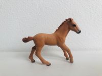 SCHLEICH Camargue Fohlen 82924 exklusiv RARITÄT Baden-Württemberg - Rottenburg am Neckar Vorschau