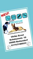 Hundesalon, Hundefriseur, Groomer Hessen - Burgwald Vorschau