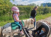 Kinder-Reitbeteiligung, Ponyreiten, Mutter-Kind, geführtes Reiten Nordrhein-Westfalen - Hürth Vorschau