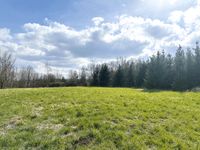 AUKTION: 1,5 ha Wald-/Landwirtschaftsfläche Sachsen - Tharandt Vorschau