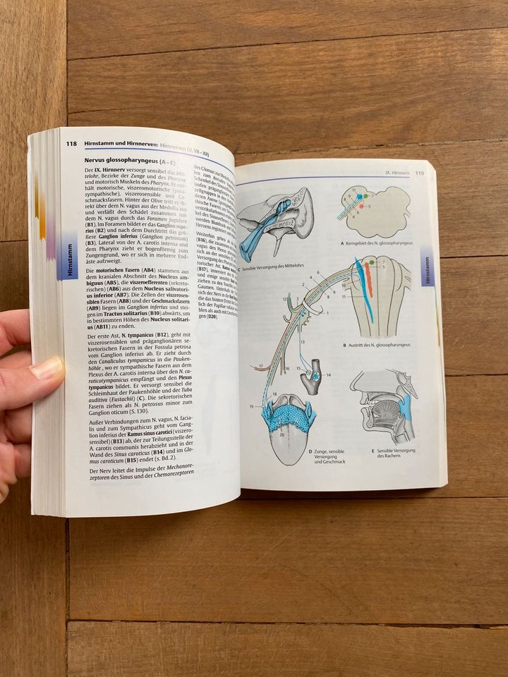 Taschenatlas Anatomie Nervensystem u. Sinnesorgane 9. Auflage in Frankfurt am Main