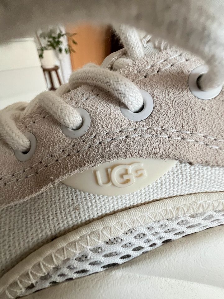 original UGG Gr.41 LA Cloud Hi Sneaker Turnschuh Schnürboots in Salzkotten