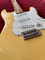 Fender Stratocaster Player Series 2021 - BB MIM +Case Nordrhein-Westfalen - Moers Vorschau