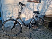 Gazelle E Bike 28 Zoll Orange Plus Innergy Reichweite 180 KM Bremen - Neustadt Vorschau