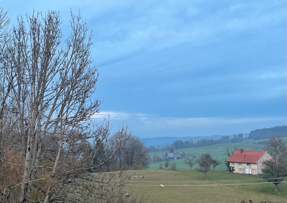 Nur noch 2 große Wohnungen stehen zum Verkauf in Röthenbach (Allgäu)