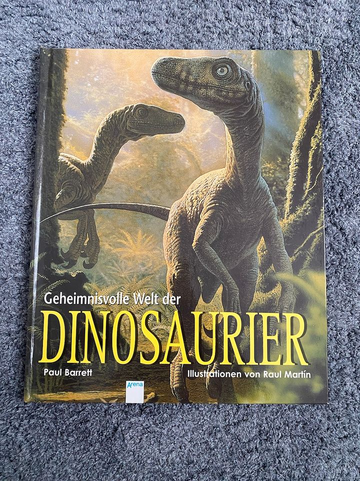 Dinosaurier Bücher | Wissensbuch | Sachbuch in Lemwerder