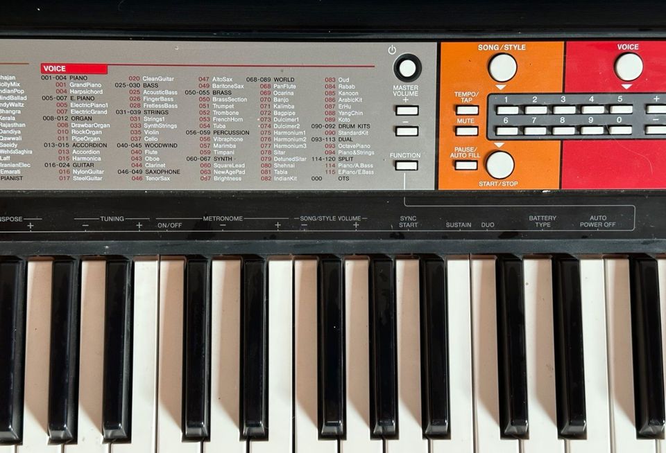 Yamaha Keyboard PSR F50 in Moorenweis