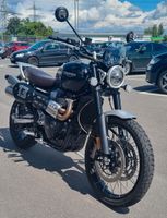 Triumph Scrambler 1200 XC Rheinland-Pfalz - Bad Kreuznach Vorschau