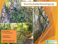 Sturmschaden, Baum fällen, Roden, Entsorgen, Häckseln, Fräsen Baden-Württemberg - Ostfildern Vorschau