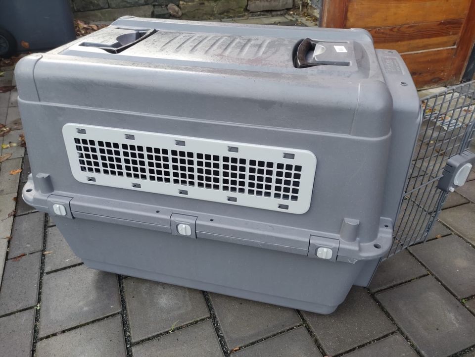 Große Hundetransportbox in Siegen