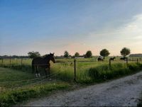 Pferdeboxen Nordrhein-Westfalen - Gangelt Vorschau