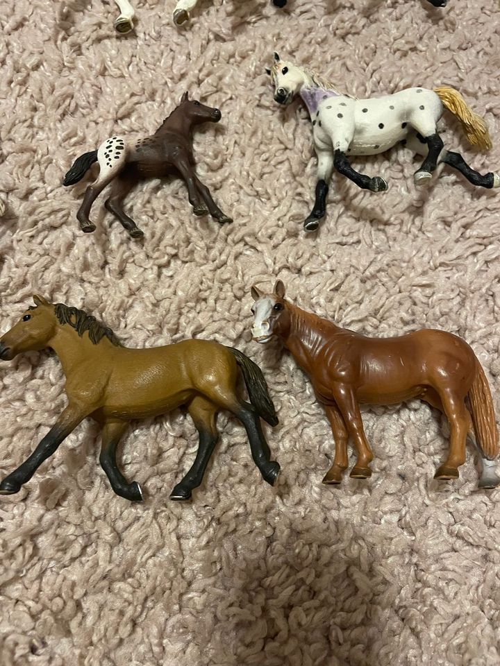 Schleich Pferde Pony Fohlen Set in Kerpen