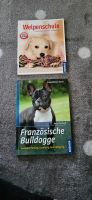 Französische Bulldogge Buch Welpenschule Hundeerziehung Dresden - Klotzsche Vorschau