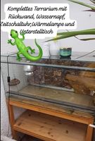 Komplettes Terrarium mit Unterstelltisch Thüringen - Großrudestedt Vorschau