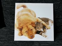 *Neuwertig* Dekobild / Leinwand mit Hund und Katze Sachsen - Otterwisch Vorschau