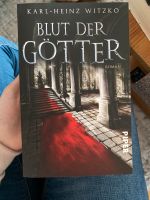 Buch „Blut der Götter“ Fantasy Parchim - Landkreis - Parchim Vorschau