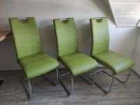 3 grüne Stühle | Schwingstühle | Esszimmer | Freischwinger Baden-Württemberg - Hechingen Vorschau