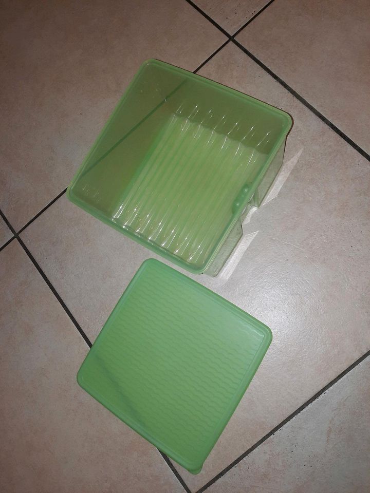 Tupperware Prima Klima 4,2 Liter Neu quadratisch Rar in Fluorn-Winzeln