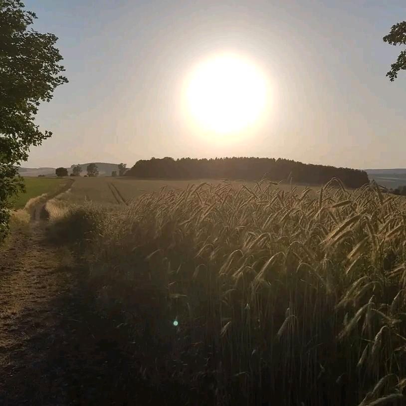 Monteur & Feriengäste in Witzschdorf