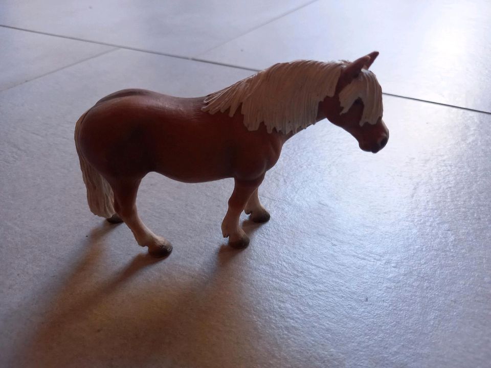 Schleich Haflinger Wallach in Kohlbacher Hof