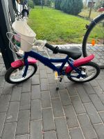 Kinderfahrrad 14 Zoll blau Pink mit Körbchen Brandenburg - Brieselang Vorschau