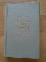 Buch Gustav Schröer Der Heiland vom Binsenhofe Sachsen-Anhalt - Halle Vorschau