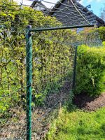 Gartenzaun miit Tor und Ausbruchschutz für Haustiere Rheinland-Pfalz - Altenkirchen Vorschau