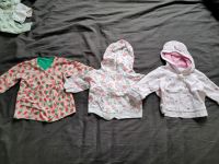 3 Jacken Übergang Sweatjacke Gr. 68 Kanz Babyclub Sachsen - Burgstädt Vorschau