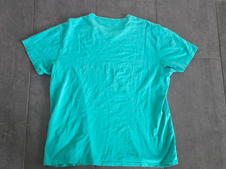 Polo Ralph Lauren T-Shirt in Größe L türkis - top Zustand - in Königswinter