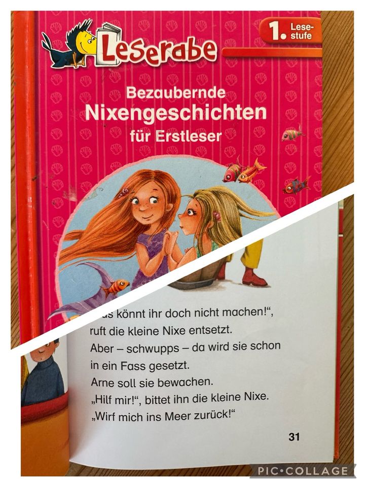 Verschiedene Bücher für Erstleser in Sandhausen