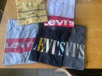 5 Levi’s T-Shirts Größe S Hessen - Alsbach-Hähnlein Vorschau