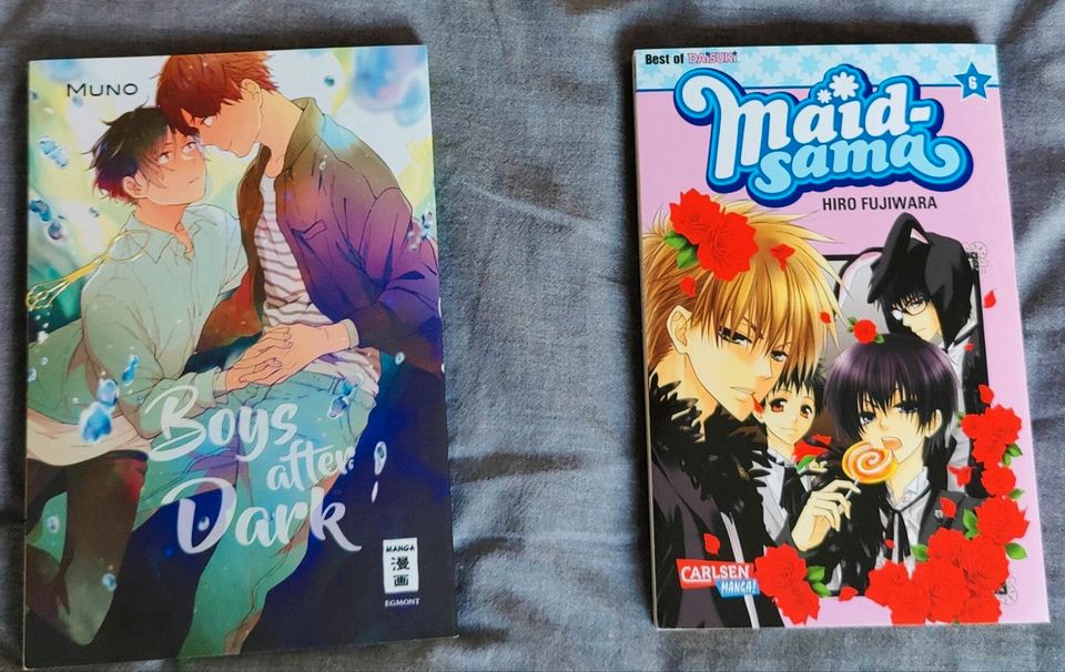 31 Mangas Taschenbücher/ Hardcover in Herten