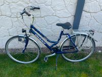 Damenrad Fahrrad Giant Comfort ZEG 28 Zoll mit Federung Niedersachsen - Barsinghausen Vorschau