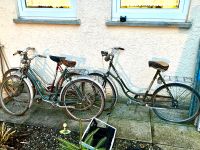 Alte Fahrräder zu verkaufen Retro Historisch Sammler Baden-Württemberg - Warthausen Vorschau