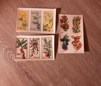 Abziehbilder/ DDR  / Früchte / Pflanzen Sachsen - Nünchritz Vorschau