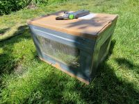 Bienenschwarm groß carnica gefangen 21.05 Sachsen - Pesterwitz Vorschau