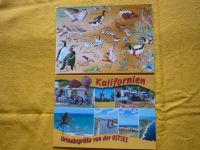 2 Karten Kalifornien / Ostsee / Naturmotiv , gelaufen 2019 Kreis Ostholstein - Heiligenhafen  Vorschau