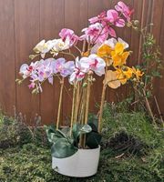 Deko Orchidee bunt 83cm Nordrhein-Westfalen - Meinerzhagen Vorschau